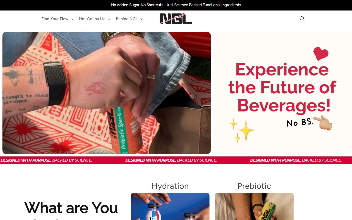 NGL Drinks homepage